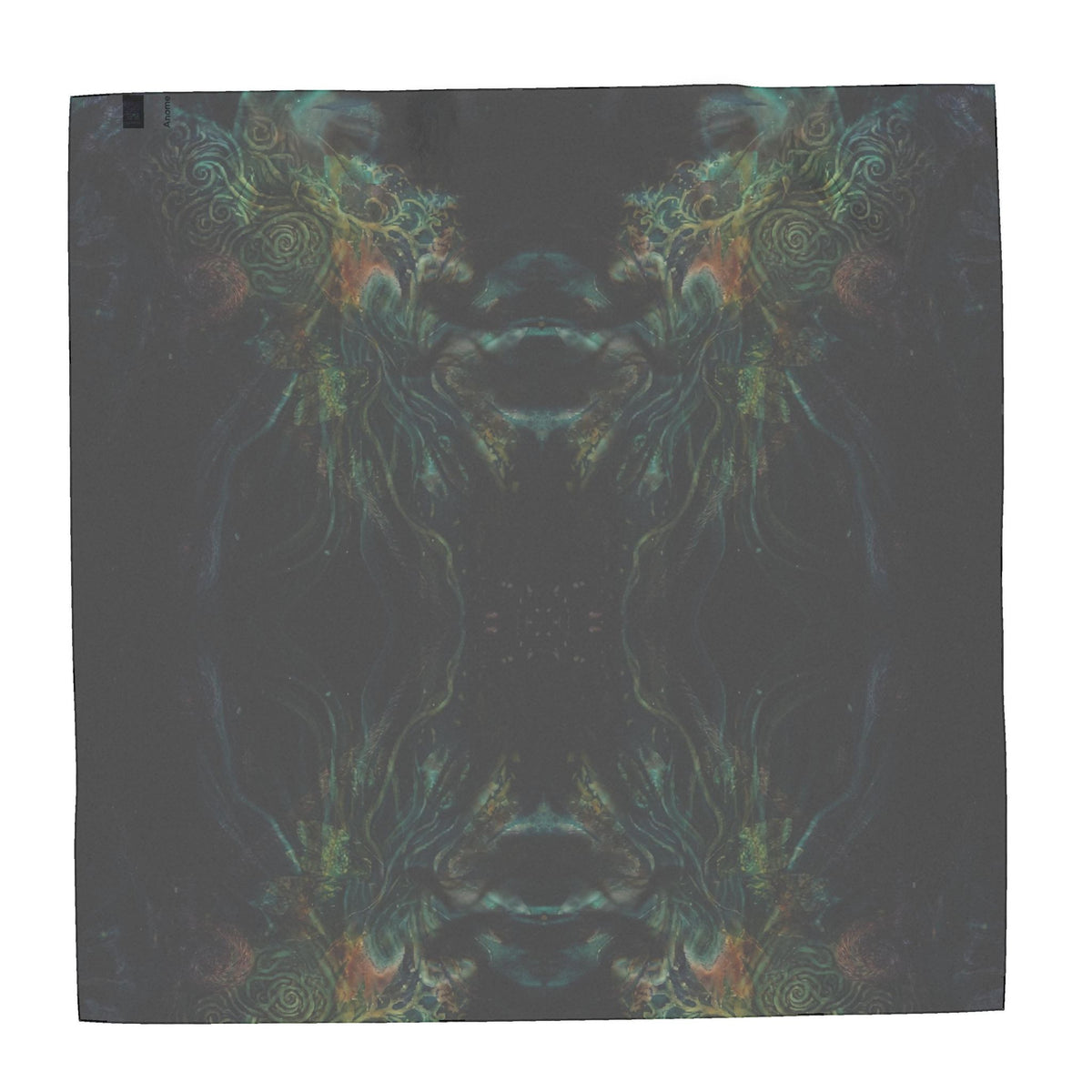 Scarf Wrap or Shawl